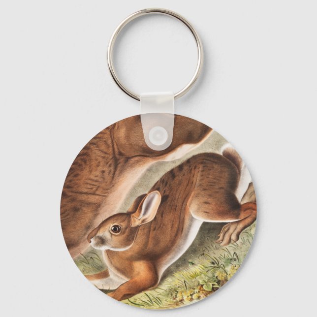 Chaveiro Ilustração de Lepus Americanus (norte Hare) (Frente)