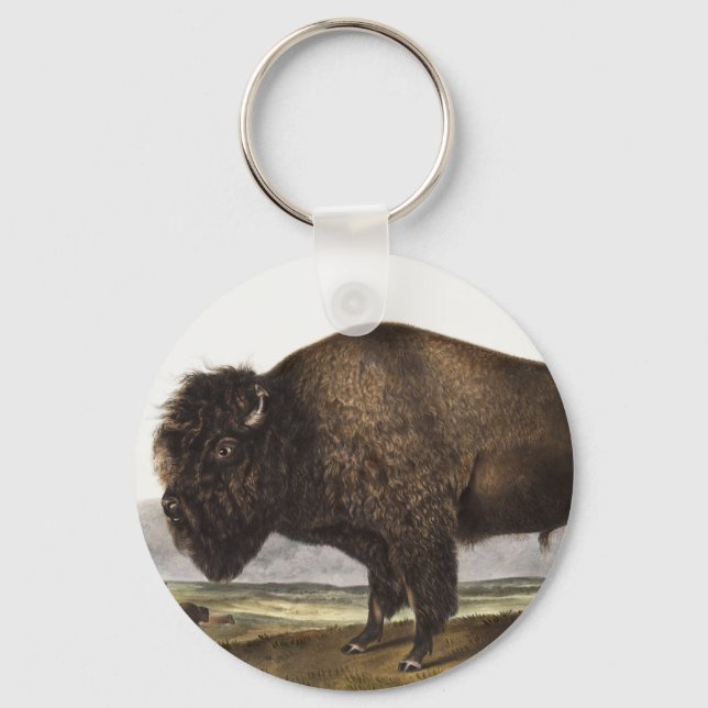 Chaveiro Ilustração do American Bison (Bos Americanus) (Frente)