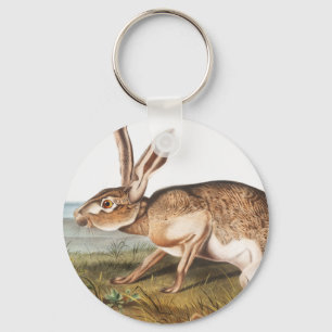 Chaveiro Ilustração do Coelho da Lepus Texianus