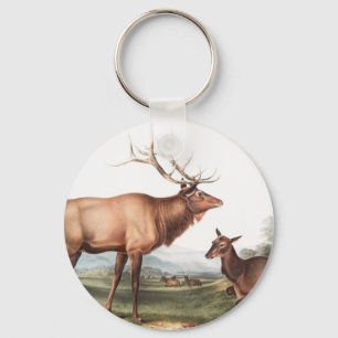 Chaveiro Ilustração do Elk Americano (Cervus Canadensis)