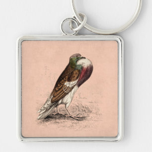 Chaveiro Ilustração do pombo do vintage - modelo do páss