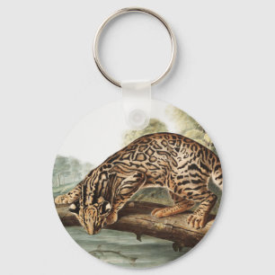 Chaveiro Ilustração Ocelot, Gato-Leopardo (Felis pardalis)