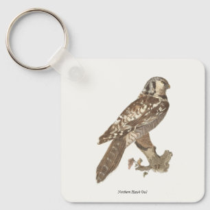 Chaveiro Imagem de aves do Norte Hawk Owl (Surnia ulula)