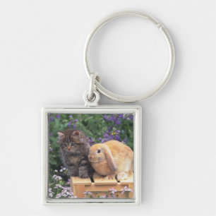 Chaveiro Imagem de um gatinho e de uma posição do coelho 