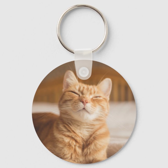 Chaveiro Imagens Getty | Gato Sonolento (Frente)