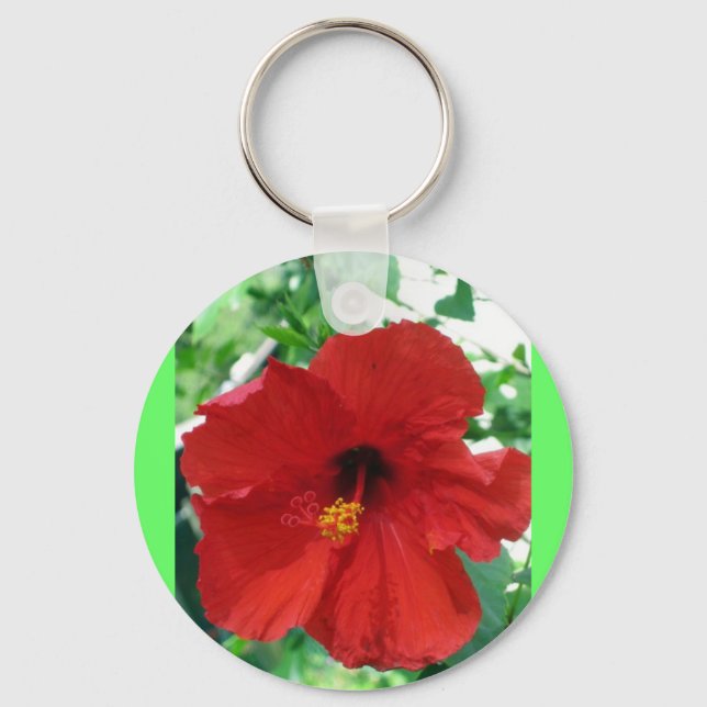 Chaveiro IMG_2905_editado (Frente)