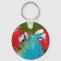 Impressão de papagaio-de-arara-azul