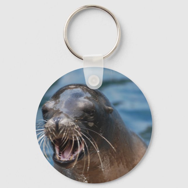 Chaveiro indefinido (Frente)