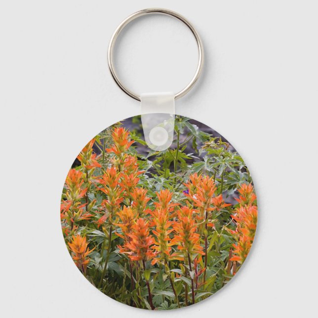 Chaveiro Indian Paintbrush Patch (Frente)