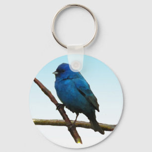 Chaveiro Indigo Bunting