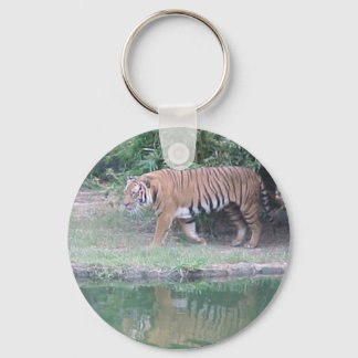 Chaveiro Indochinese Tiger