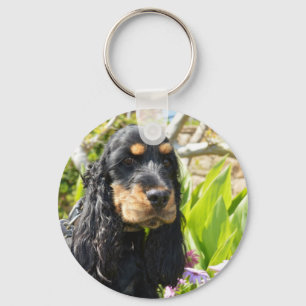 Chaveiro inglês-cocker-spaniel-preto e bronzeado