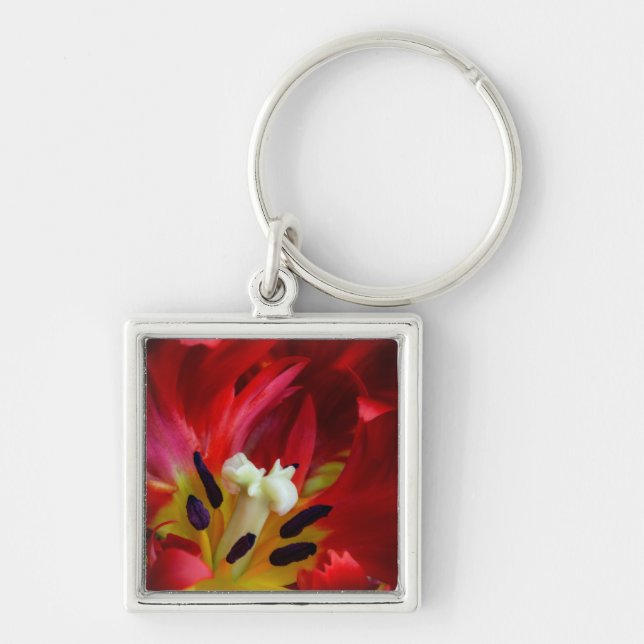 Chaveiro Interior da flor de tulipa papagaio (Frente)