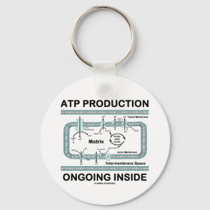 Chaveiro Interior em curso da produção do ATP