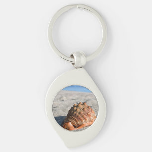 Chaveiro Invólucro do mar, Concha gigante, Cypraeacassis ru
