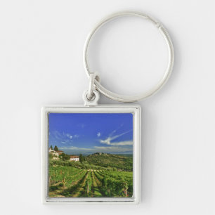 Chaveiro Itália, Toscana, Greve. Os vinhedos de Castello