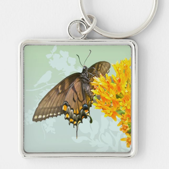 Chaveiro Item Tiger Swallowtail Butterfly (Papilio glaucas) (Frente)