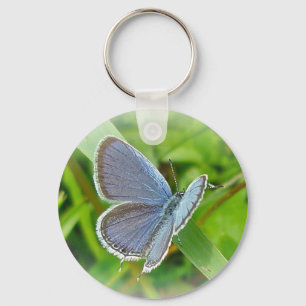 Chaveiro Itens de Coordenada de Borboleta Azul Perna Orient