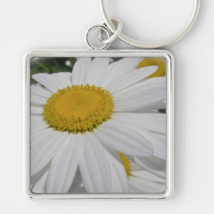 Chaveiro Itens Florais De Oxeye Daisy Wildflower