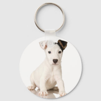 Chaveiro Jack Russel terrier