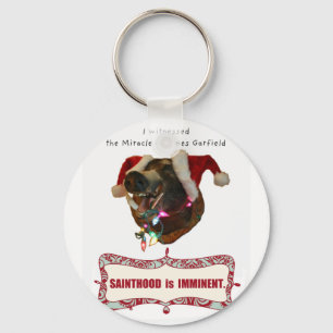 Chaveiro James Garfield:Patron Saint of Accidental Miracles