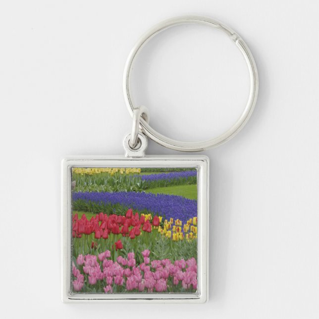 Chaveiro Jardim de tulipas, Hyacinto de Uvas e (Frente)