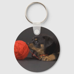 Chaveiro Jogando o filhote de cachorro 4