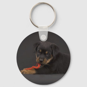 Chaveiro Jogando o filhote de cachorro 5