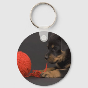 Chaveiro Jogando o filhote de cachorro 6