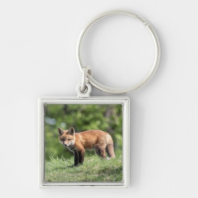 Chaveiro Jogo do Fox vermelho (Frente)