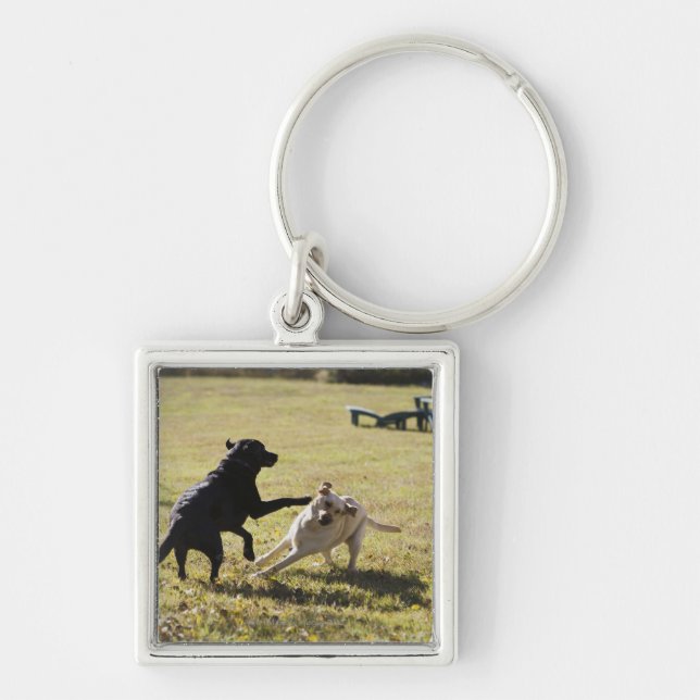 Chaveiro Jogo dos cães (Frente)