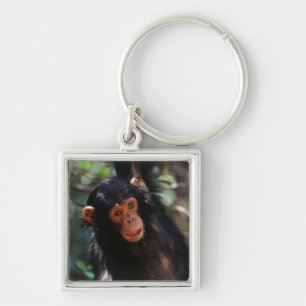 Chaveiro Jovem Chimpanzé