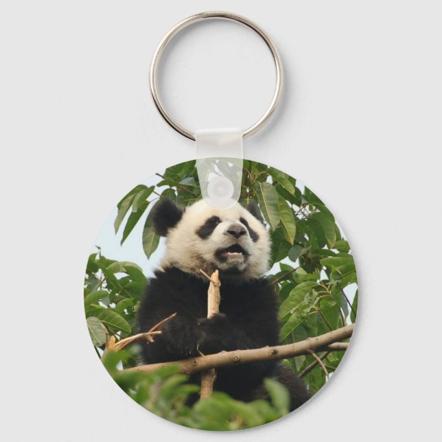 Chaveiro Jovem panda gigante - cadeia-chave (Frente)