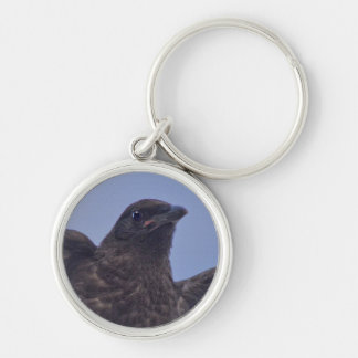 Chaveiro Jovem Raven na Ponte Quesnel w Sky