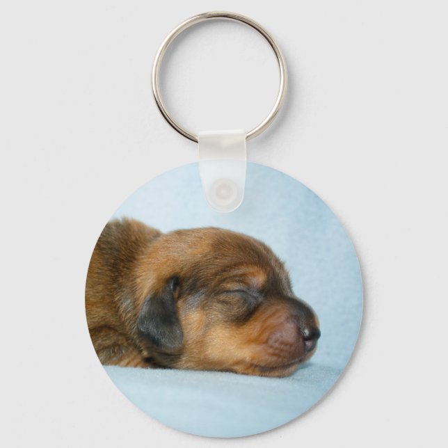 Chaveiro Jovi 1 wk-Lovebugdoxies (Frente)