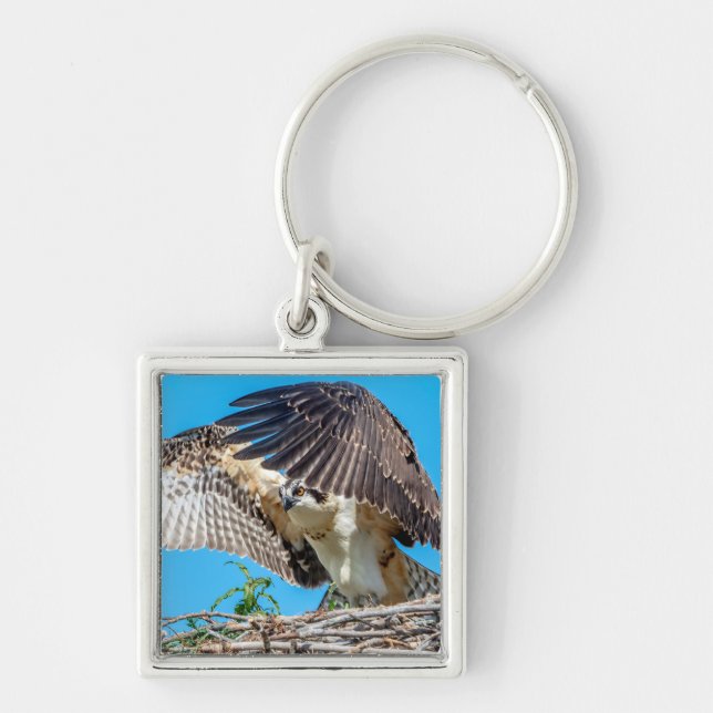 Chaveiro Juvenil Osprey no ninho (Frente)