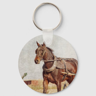 Chaveiro Kalona, Iowa Amish Horse e Buggy