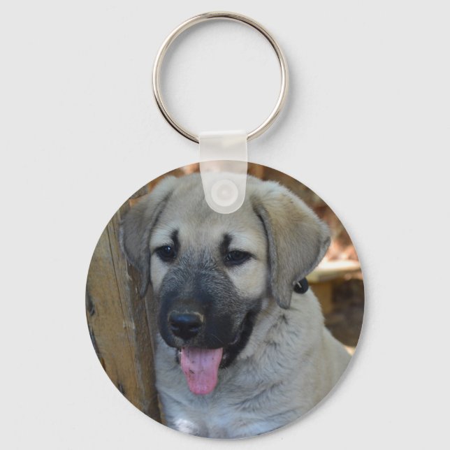 Chaveiro Kangal - Cão-Ovelha Anatólogo (Frente)