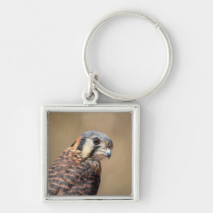 Chaveiro Kestrel Americano