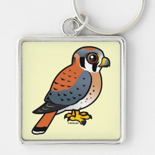 Chaveiro Kestrel americano bonito