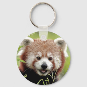 Chaveiro keychain Photo red panda , animals 0328.