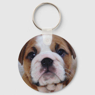 Chaveiro Keyring britânico do filhote de cachorro do