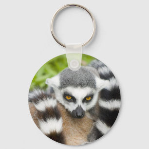 Chaveiro Keyring - cauda bonito de Stripey do Lemur