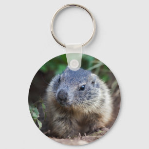 Chaveiro Keyring curioso da marmota do bebê