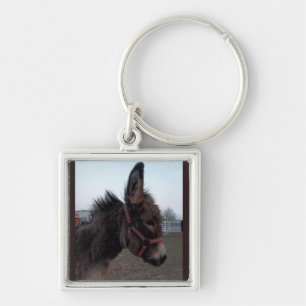 Chaveiro Keyring do asno