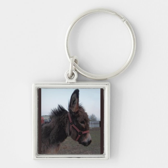 Chaveiro Keyring do asno (Frente)