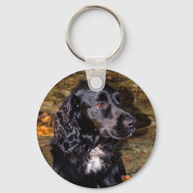 Chaveiro Keyring do Cocker Spaniel (Frente)