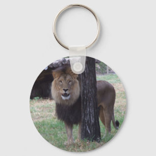 Chaveiro Keyring do leão
