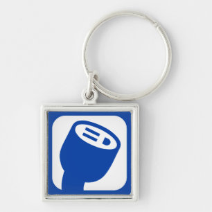 Chaveiro Keyring do logotipo de PlugShare