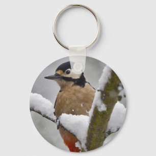 Chaveiro Keyring do pica-pau do inverno